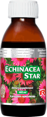 ECHINACEA STAR