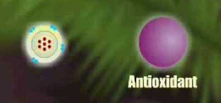 Mocný účinek antioxidantů