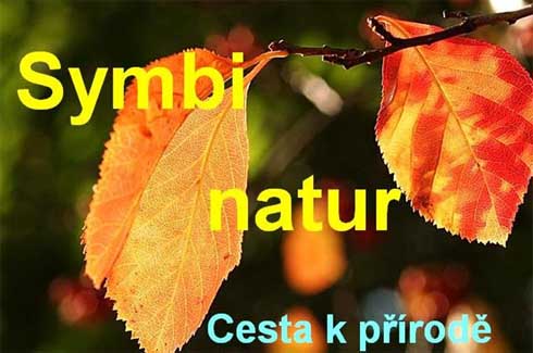SYMBI jsou na trhu již dlouhou řadu let