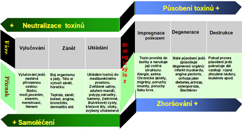 Potlačování příznaku nevede k vyléčení