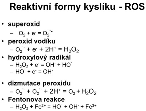 Molekulární vodík jako lékařský plyn