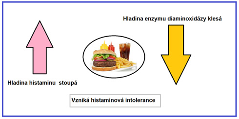 HIT – tři písmenka, která značí histaminovou intoleranci