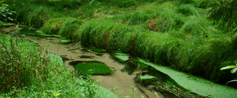 Astma, kašel, inhalátor