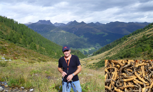 Cordyceps výtažek z plodnic hub