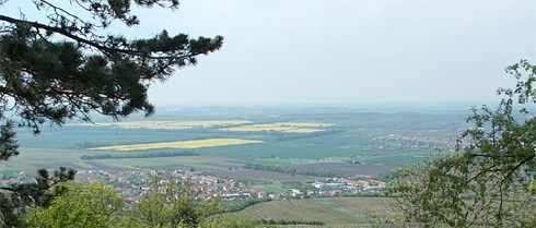 Pálení žáhy – pyróza