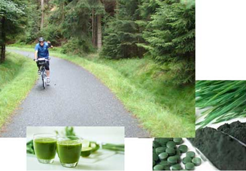 Chlorella oživuje buňky