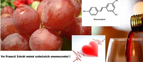 Vynikající RESVERATROL