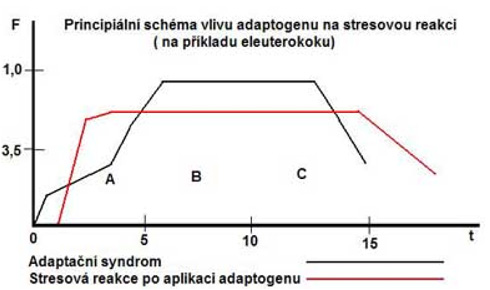 Nespecifická odolnost organismu a její ovlivnění adaptogenními látkami